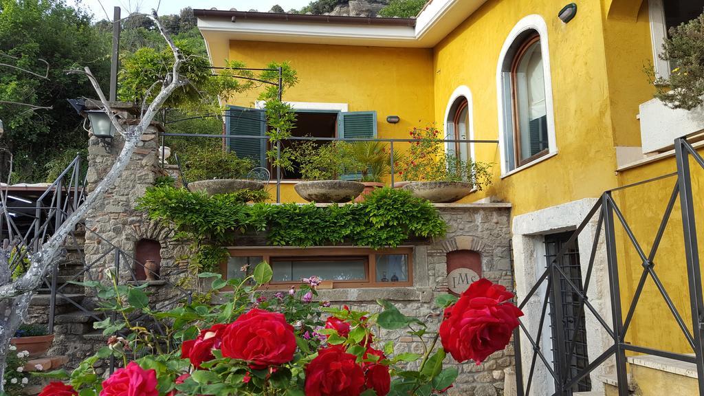 Il Nido Del Falco Bed & Breakfast Castel Gandolfo Bagian luar foto