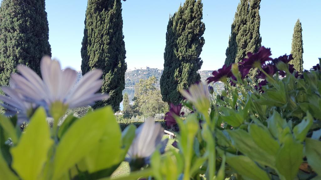 Il Nido Del Falco Castel Gandolfo Bagian luar foto