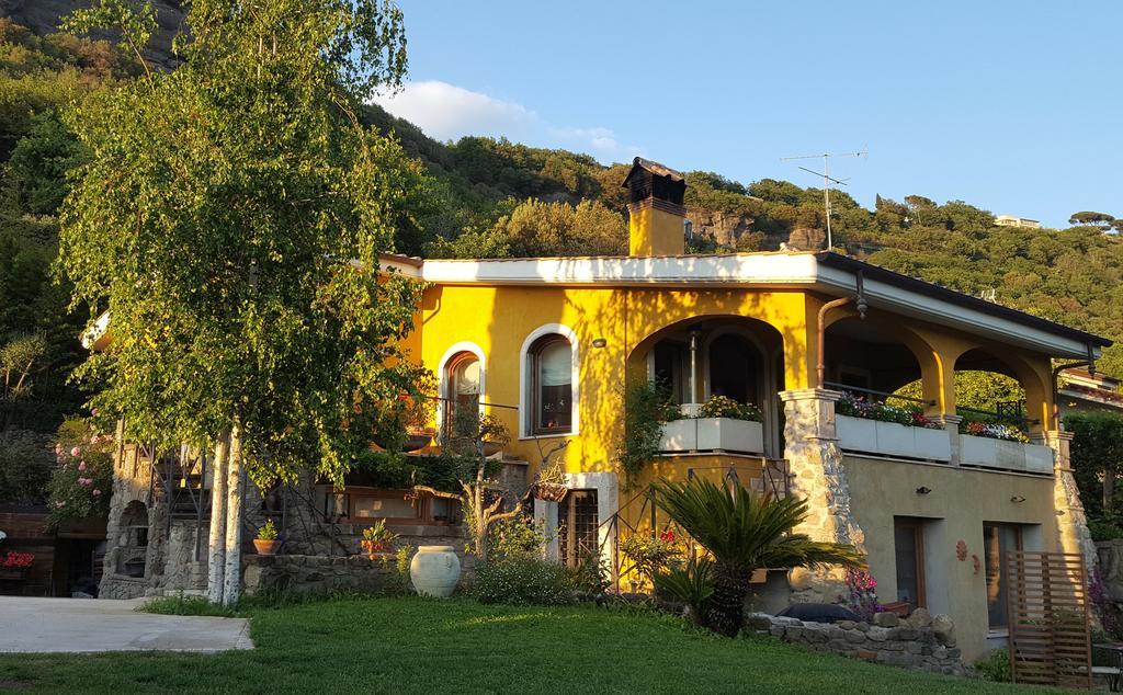 Il Nido Del Falco Castel Gandolfo Bagian luar foto